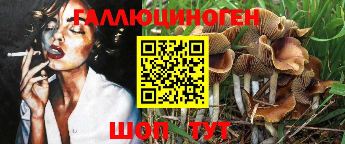 Щёкино  Галлюциногенные грибы ЛСД  Псилоцибиновые грибы MAGIC MUSHROOMS  Вход с VPN 