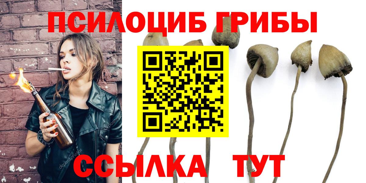 Псилоцибиновые грибы ЛСД Щёкино